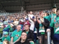 20140412_181701 (1024x768)