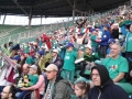 20140412_183826 (1024x768)