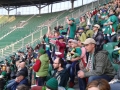 20140412_183854 (1024x768)