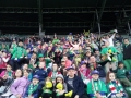 20140412_195923 (1024x768)